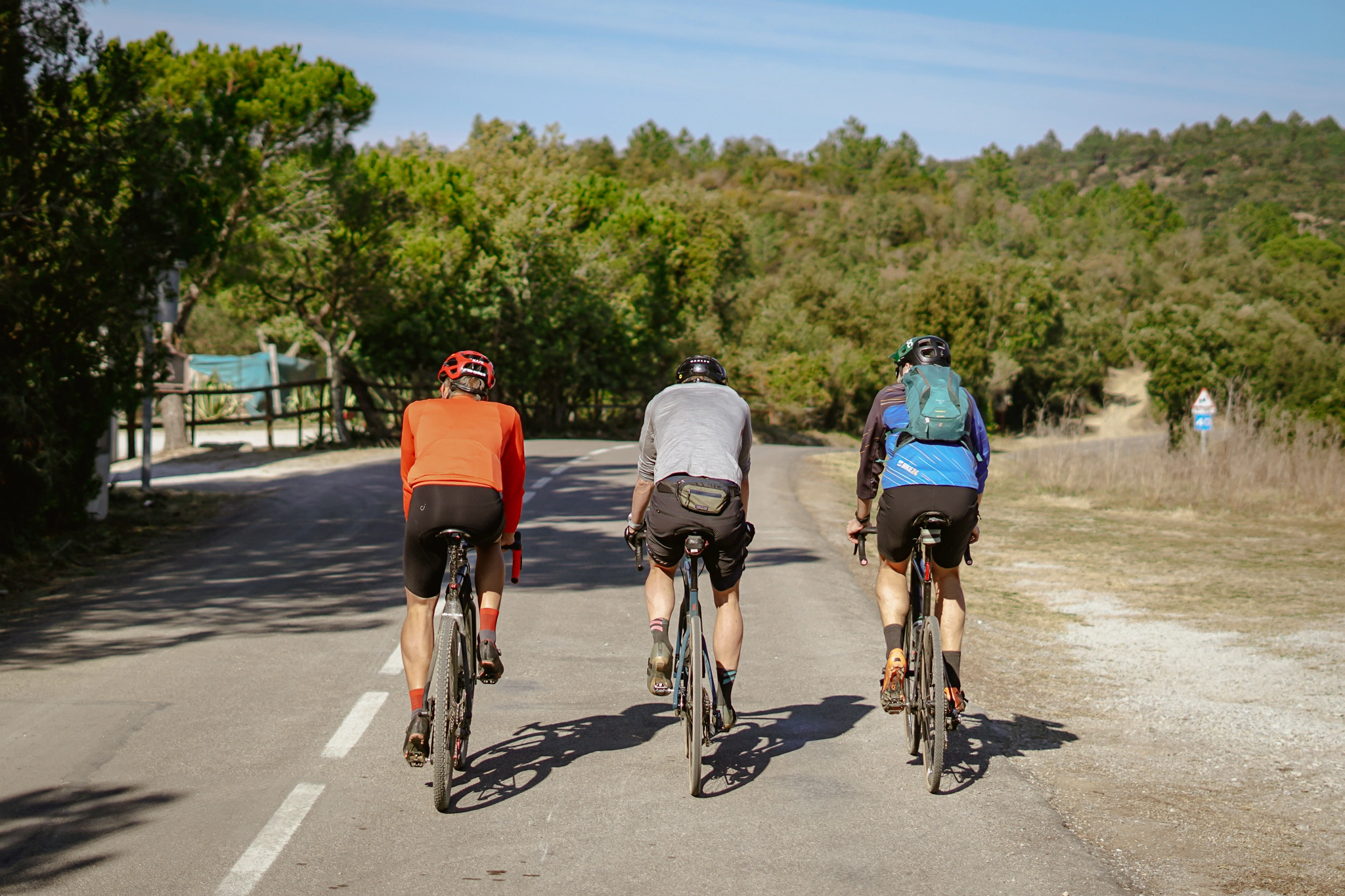 Vendite Biciclette 7 Vendite Biciclette -Vendite Biciclette 278398957 5517759091582295 6036783050421148245 n