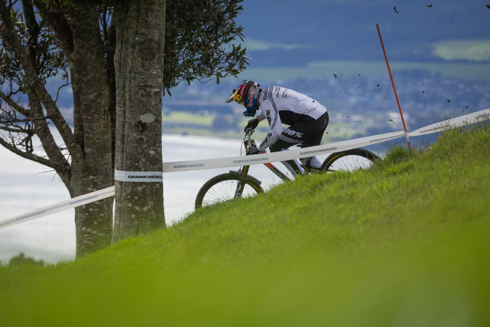 Vendite Biciclette -Vendite Biciclette 315212931 10160572781272867 7055212327036007550 n