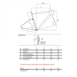 Bicicletta Gravel Basso Tera Siena Terra Apex 1x11 MX25 Tg. M 9 Bicicletta Gravel Basso Tera Siena Terra Apex 1x11 MX25 Tg. M -Vendite Biciclette bicicletta gravel basso tera siena terra apex 1x11 mx25 tg m 4