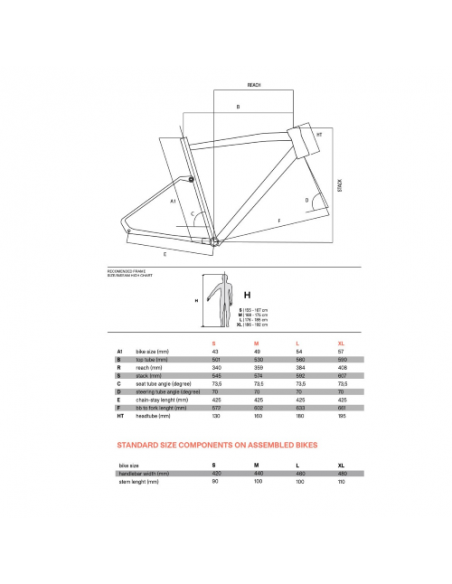 Bicicletta Gravel Basso Tera Siena Terra Apex 1x11 MX25 Tg. M 5 Bicicletta Gravel Basso Tera Siena Terra Apex 1x11 MX25 Tg. M - immagine 5