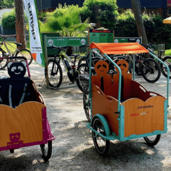 PandaBike Cargo Bike Isotermica Modello Classic O Cuore Muscolare 7 PandaBike Cargo Bike Isotermica Modello Classic O Cuore Muscolare -Vendite Biciclette cargo bike isotermica modello classic o cuore muscolare 2