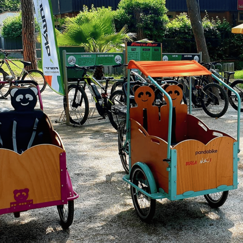 PandaBike Cargo Bike Isotermica Modello Classic O Cuore Muscolare 3 PandaBike Cargo Bike Isotermica Modello Classic O Cuore Muscolare - immagine 3