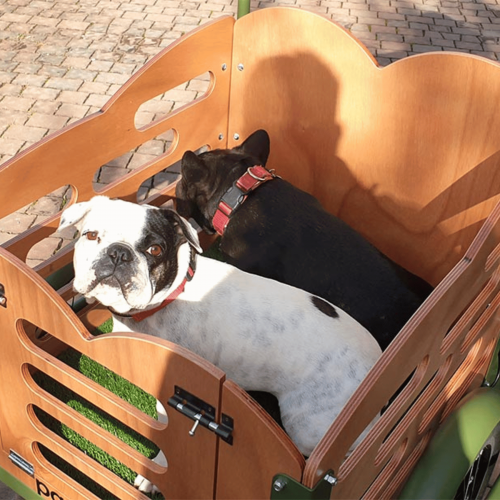 PandaBike Cargo Bike Modello Cuore Dog Muscolare 2 PandaBike Cargo Bike Modello Cuore Dog Muscolare - immagine 2
