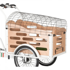 PandaBike Cargo Bike Modello Cuore Dog Muscolare 9 PandaBike Cargo Bike Modello Cuore Dog Muscolare -Vendite Biciclette cargo bike modello cuore dog muscolare 4