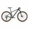 Bicicletta MTB Focus 29" RAVEN 8.7 RawBlack DI