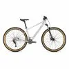 Bicicletta MTB Focus 29" WHISTLER 3.8 LiteGrey DI