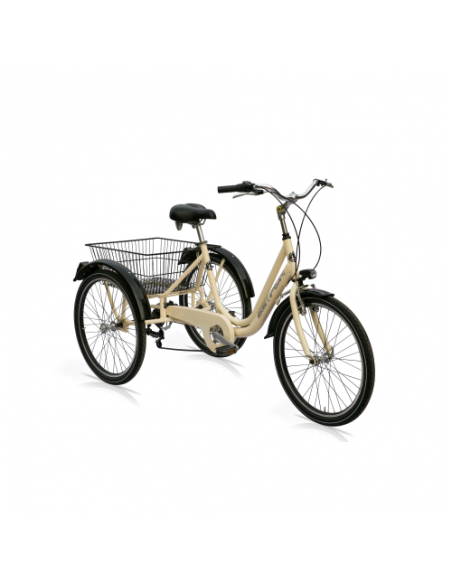 Triciclo Speed Cross Pedalata Assistita 3 Ruote 20" 2 Triciclo Speed Cross Pedalata Assistita 3 Ruote 20" - immagine 2